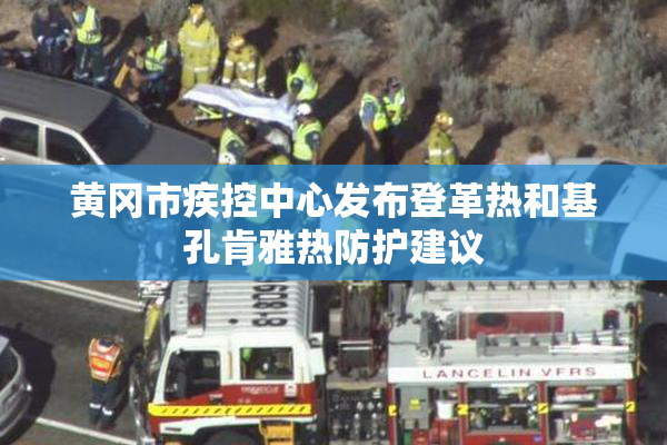 黄冈市疾控中心发布登革热和基孔肯雅热防护建议