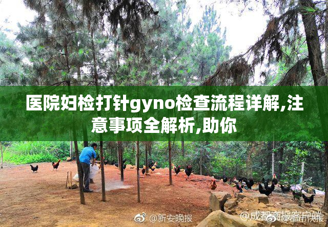 医院妇检打针gyno检查流程详解,注意事项全解析,助你