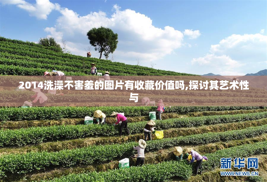 2014洗澡不害羞的图片有收藏价值吗,探讨其艺术性与