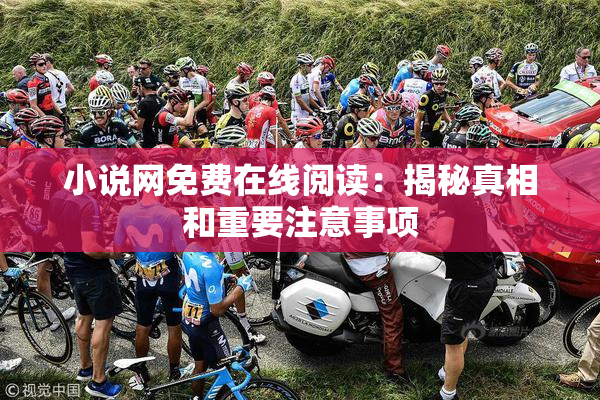 小说网免费在线阅读：揭秘真相和重要注意事项