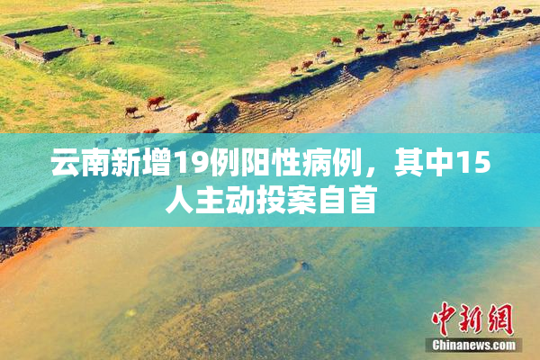 云南新增19例阳性病例，其中15人主动投案自首