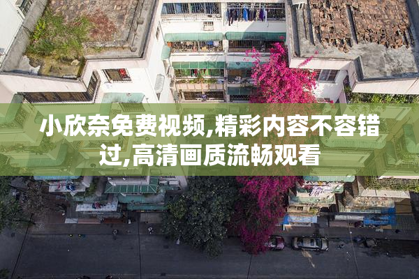 小欣奈免费视频,精彩内容不容错过,高清画质流畅观看