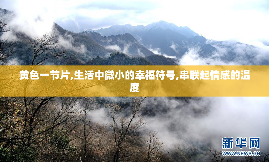 黄色一节片,生活中微小的幸福符号,串联起情感的温度