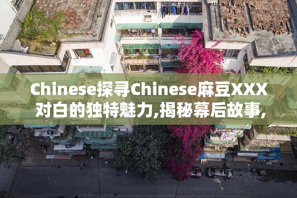 Chinese探寻Chinese麻豆XXX 对白的独特魅力,揭秘幕后故事,带你