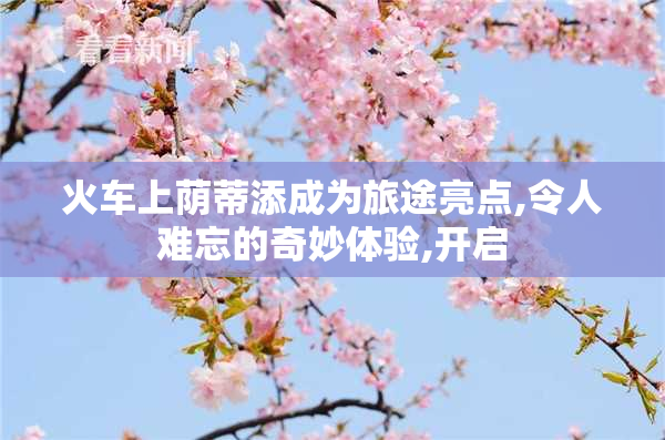 火车上荫蒂添成为旅途亮点,令人难忘的奇妙体验,开启