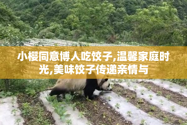 小樱同意博人吃饺子,温馨家庭时光,美味饺子传递亲情与