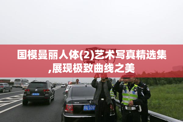 国模曼丽人体(2)艺术写真精选集,展现极致曲线之美