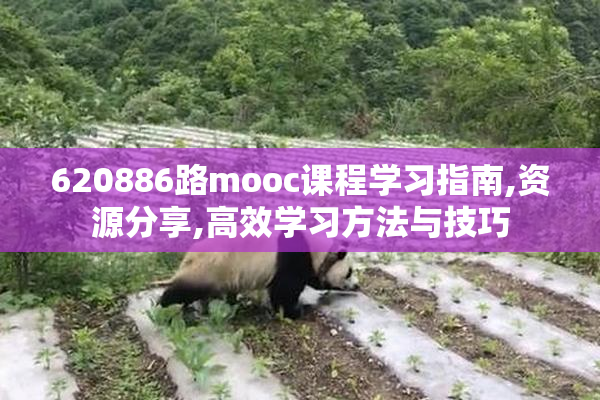 620886路mooc课程学习指南,资源分享,高效学习方法与技巧