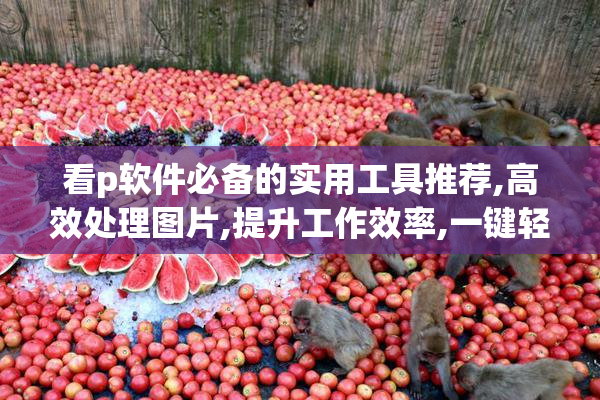 看p软件必备的实用工具推荐,高效处理图片,提升工作效率,一键轻松