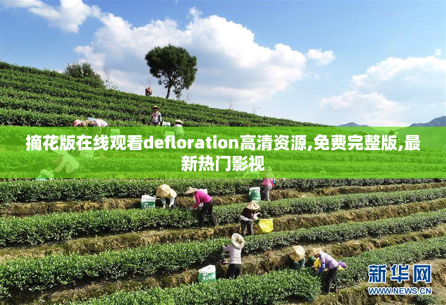 摘花版在线观看defloration高清资源,免费完整版,最新热门影视