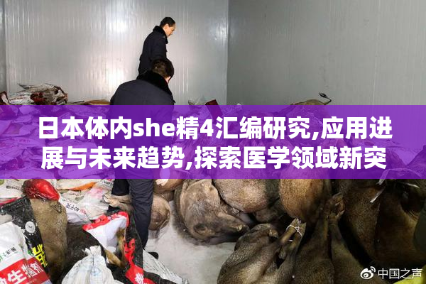 日本体内she精4汇编研究,应用进展与未来趋势,探索医学领域新突破