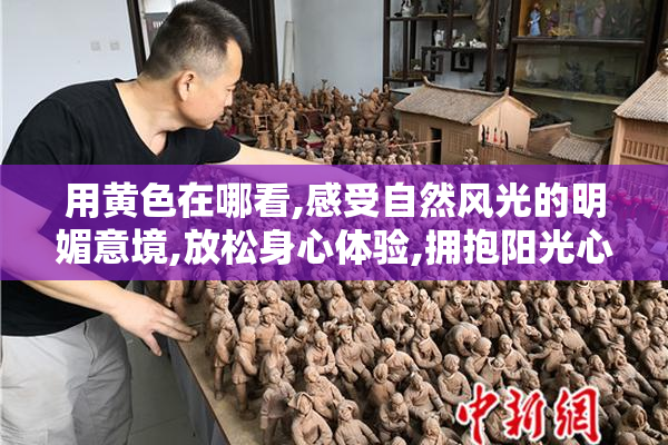 用黄色在哪看,感受自然风光的明媚意境,放松身心体验,拥抱阳光心情