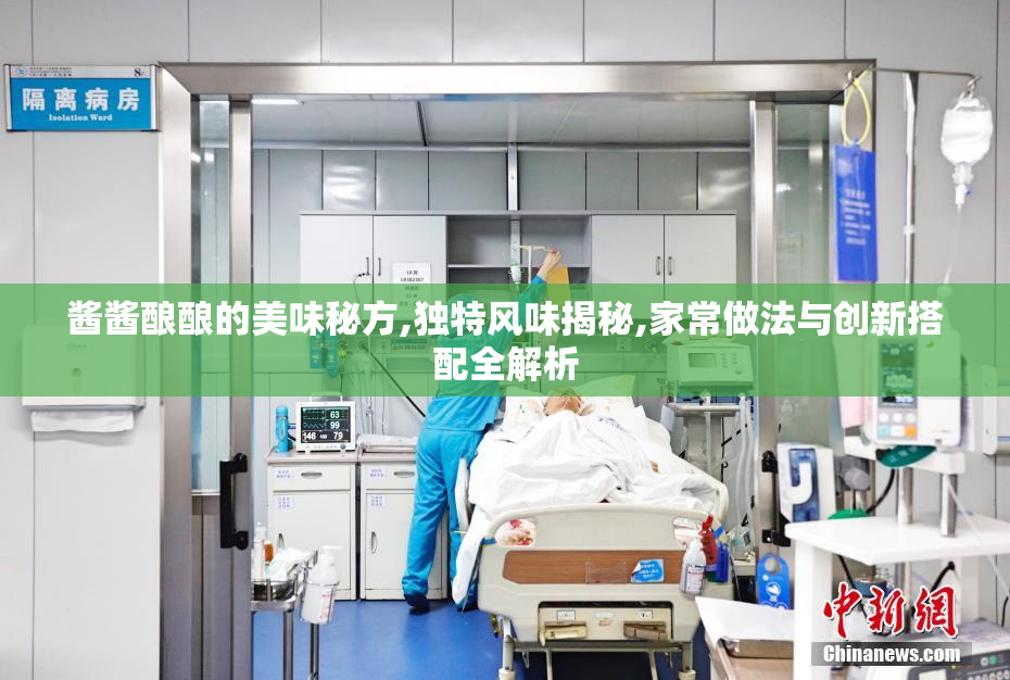 酱酱酿酿的美味秘方,独特风味揭秘,家常做法与创新搭配全解析