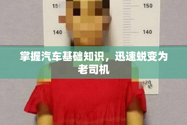 掌握汽车基础知识，迅速蜕变为老司机