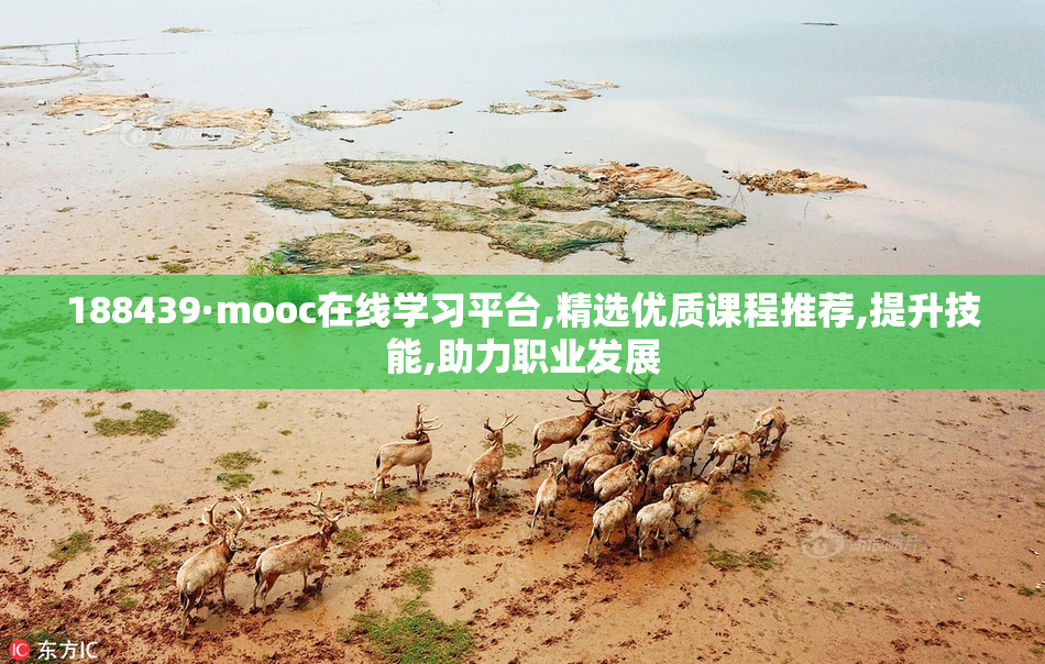 188439·mooc在线学习平台,精选优质课程推荐,提升技能,助力职业发展