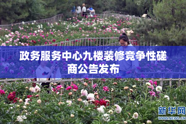 政务服务中心九楼装修竞争性磋商公告发布