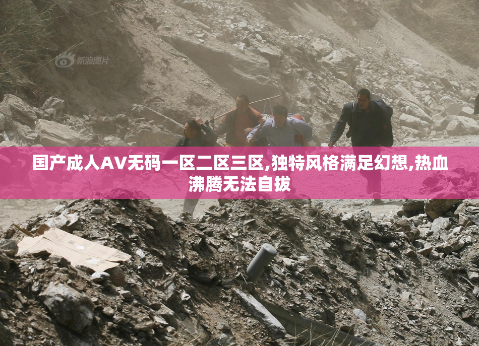 国产成人AV无码一区二区三区,独特风格满足幻想,热血沸腾无法自拔
