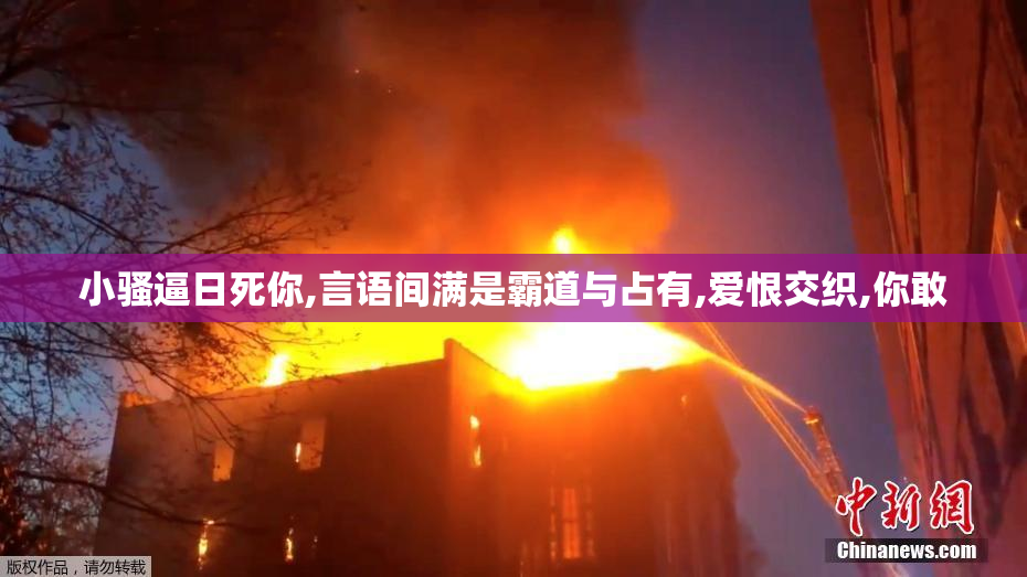 小骚逼日死你,言语间满是霸道与占有,爱恨交织,你敢