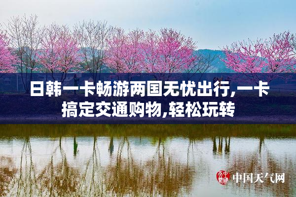 日韩一卡畅游两国无忧出行,一卡搞定交通购物,轻松玩转