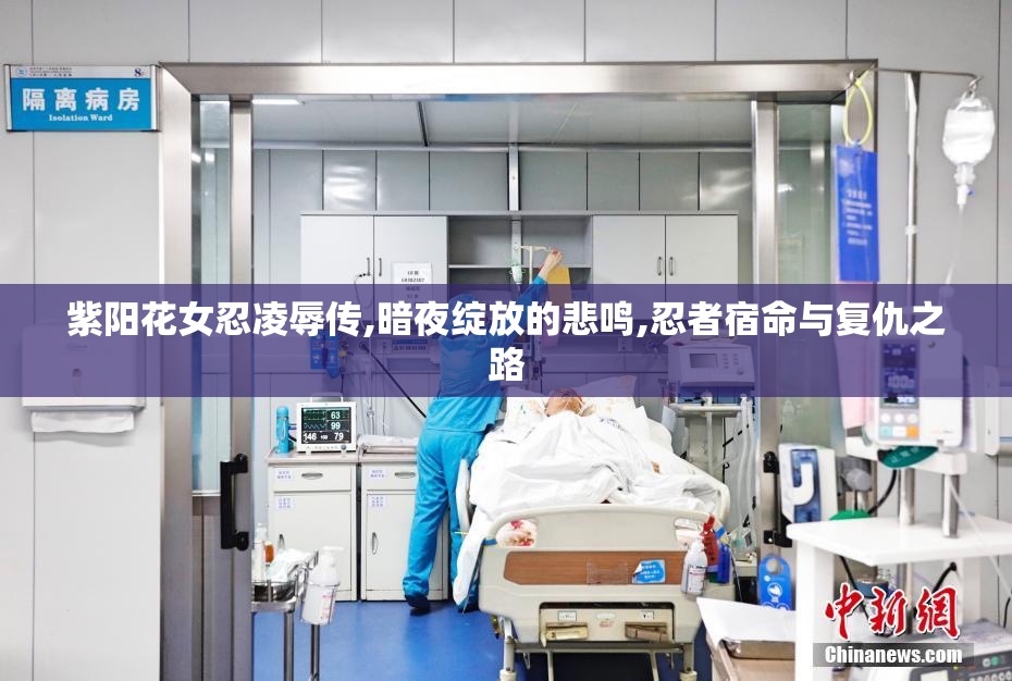 紫阳花女忍凌辱传,暗夜绽放的悲鸣,忍者宿命与复仇之路