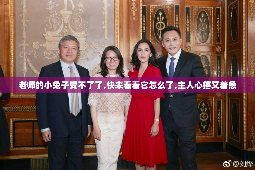 老师的小兔子受不了了,快来看看它怎么了,主人心疼又着急