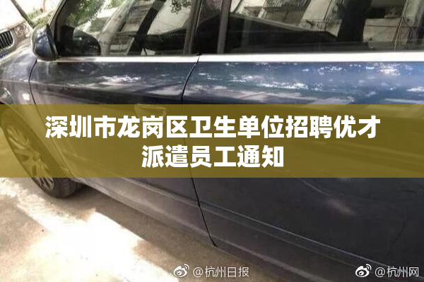 深圳市龙岗区卫生单位招聘优才派遣员工通知