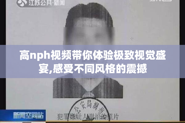 高nph视频带你体验极致视觉盛宴,感受不同风格的震撼