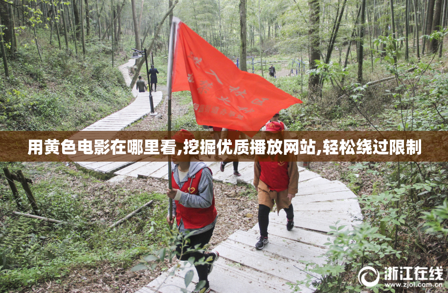 用黄色电影在哪里看,挖掘优质播放网站,轻松绕过限制