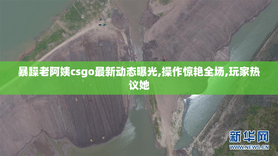 暴躁老阿姨csgo最新动态曝光,操作惊艳全场,玩家热议她
