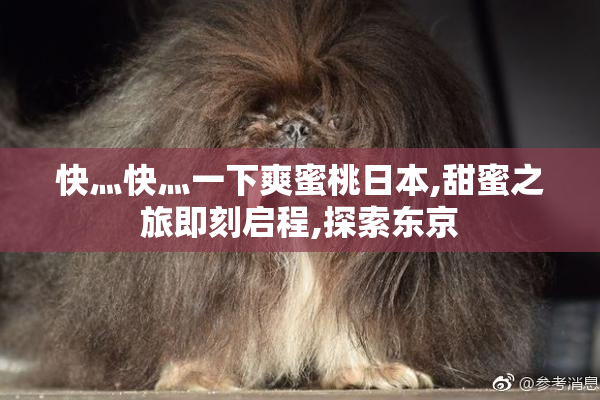 快灬快灬一下爽蜜桃日本,甜蜜之旅即刻启程,探索东京