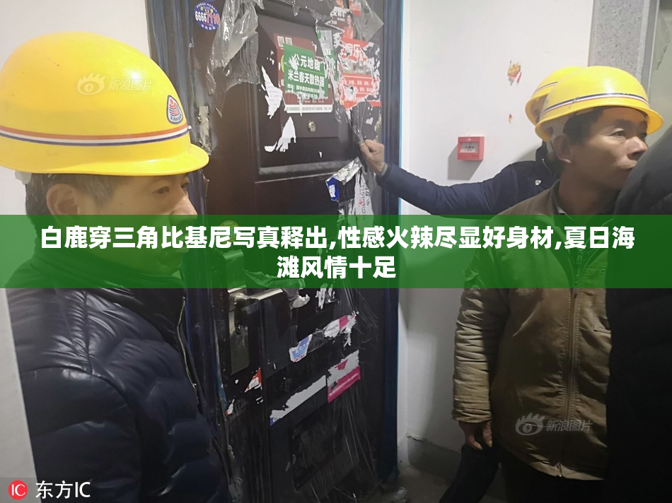 白鹿穿三角比基尼写真释出,性感火辣尽显好身材,夏日海滩风情十足