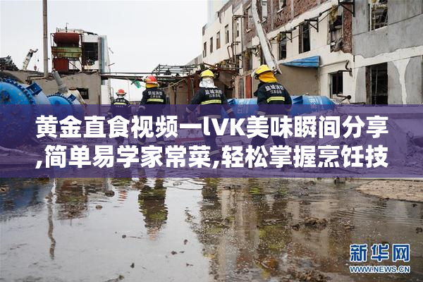 黄金直食视频一lVK美味瞬间分享,简单易学家常菜,轻松掌握烹饪技巧