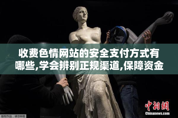 收费色情网站的安全支付方式有哪些,学会辨别正规渠道,保障资金