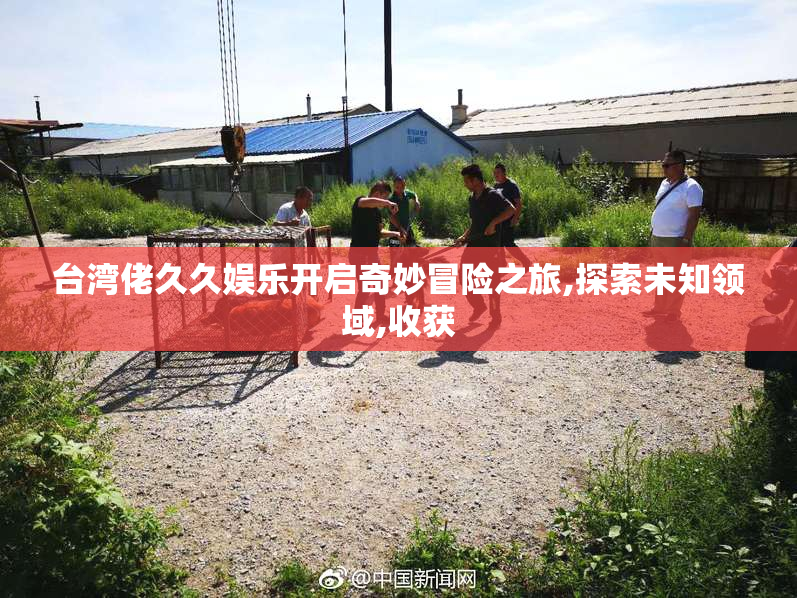 台湾佬久久娱乐开启奇妙冒险之旅,探索未知领域,收获