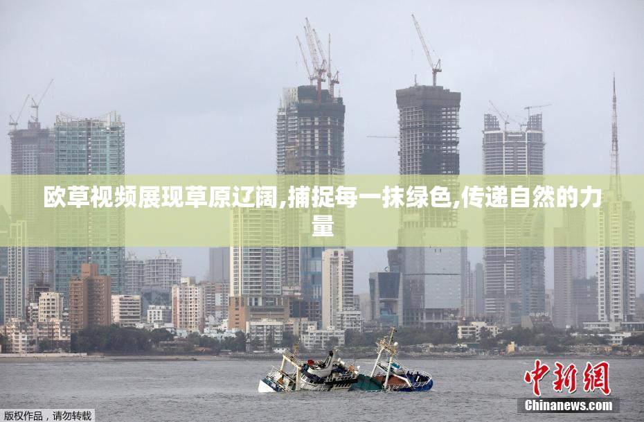 欧草视频展现草原辽阔,捕捉每一抹绿色,传递自然的力量