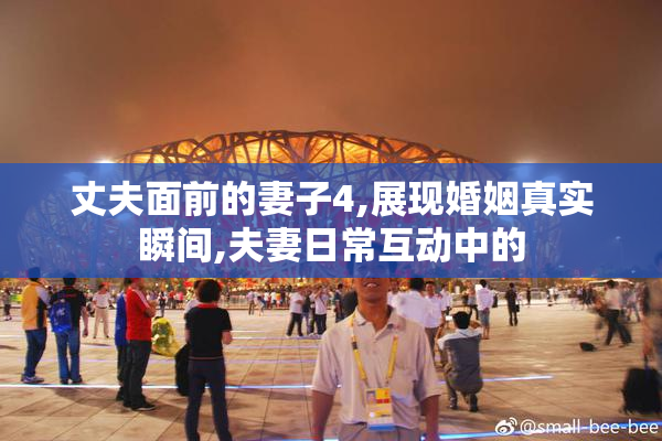 丈夫面前的妻子4,展现婚姻真实瞬间,夫妻日常互动中的