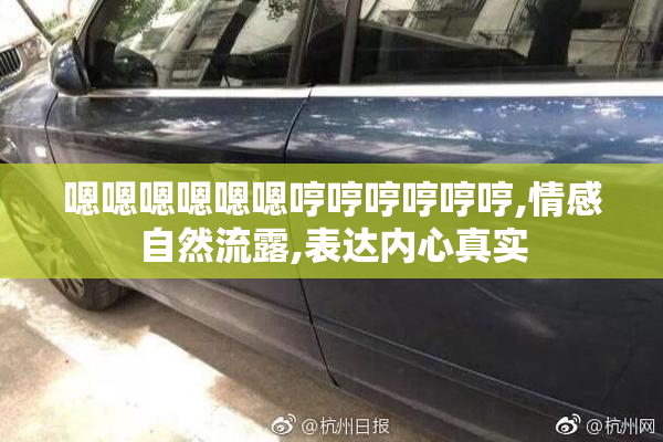 嗯嗯嗯嗯嗯嗯哼哼哼哼哼哼,情感自然流露,表达内心真实