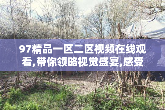 97精品一区二区视频在线观看,带你领略视觉盛宴,感受