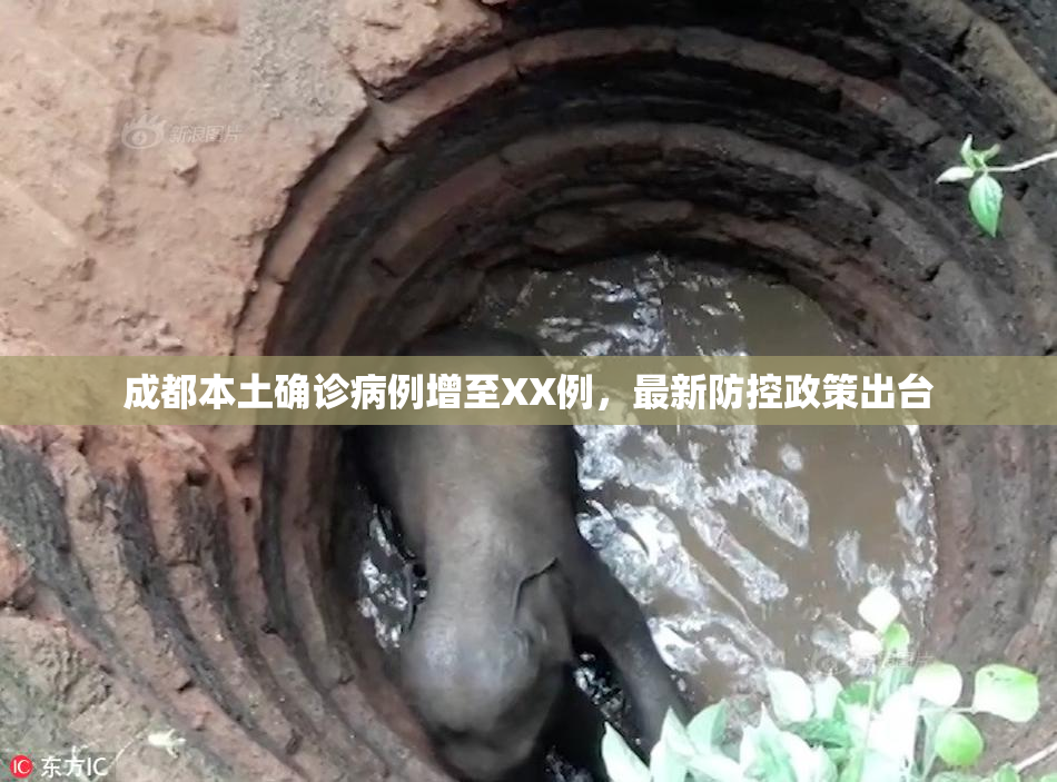 成都本土确诊病例增至XX例，最新防控政策出台