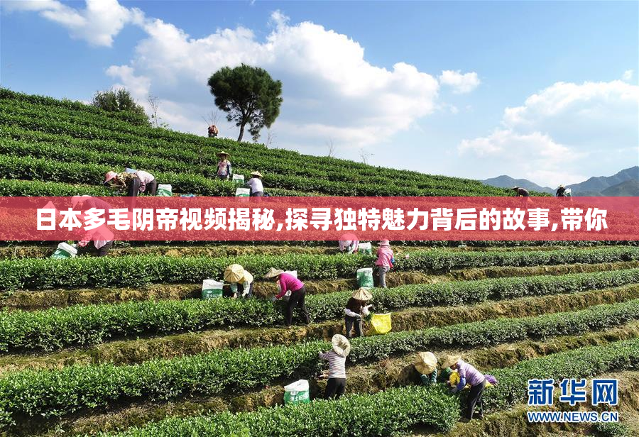 日本多毛阴帝视频揭秘,探寻独特魅力背后的故事,带你
