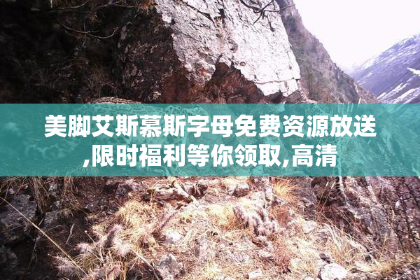 美脚艾斯慕斯字母免费资源放送,限时福利等你领取,高清
