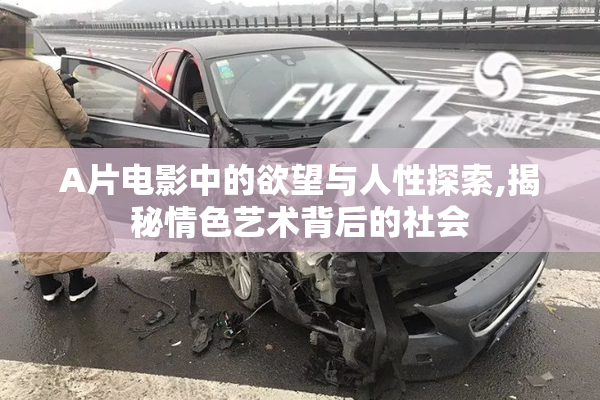 A片电影中的欲望与人性探索,揭秘情色艺术背后的社会