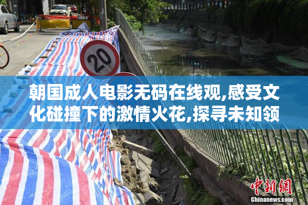 朝国成人电影无码在线观,感受文化碰撞下的激情火花,探寻未知领域