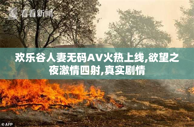 欢乐谷人妻无码AV火热上线,欲望之夜激情四射,真实剧情