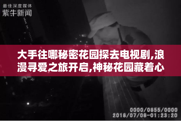 大手往哪秘密花园探去电视剧,浪漫寻爱之旅开启,神秘花园藏着心动