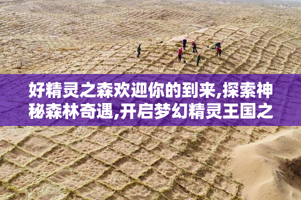 好精灵之森欢迎你的到来,探索神秘森林奇遇,开启梦幻精灵王国之旅