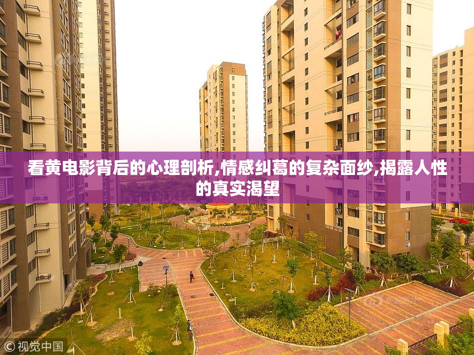 看黄电影背后的心理剖析,情感纠葛的复杂面纱,揭露人性的真实渴望