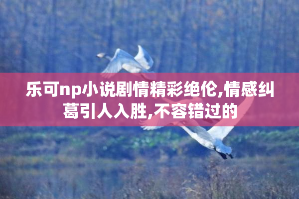 乐可np小说剧情精彩绝伦,情感纠葛引人入胜,不容错过的