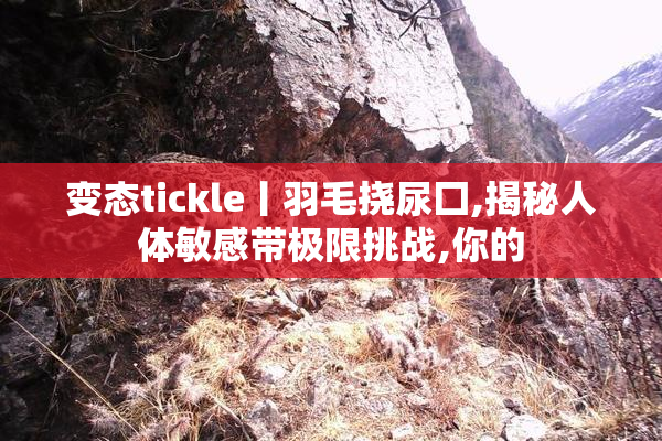 变态tickle丨羽毛挠尿囗,揭秘人体敏感带极限挑战,你的