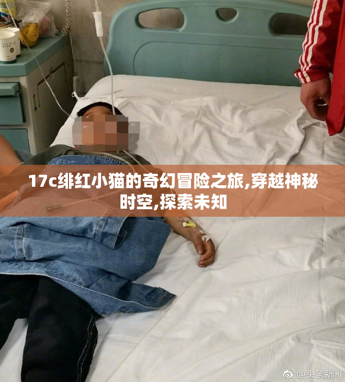 17c绯红小猫的奇幻冒险之旅,穿越神秘时空,探索未知